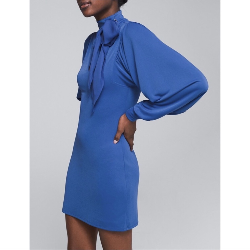 WHBM NWT blue royal dress. size M